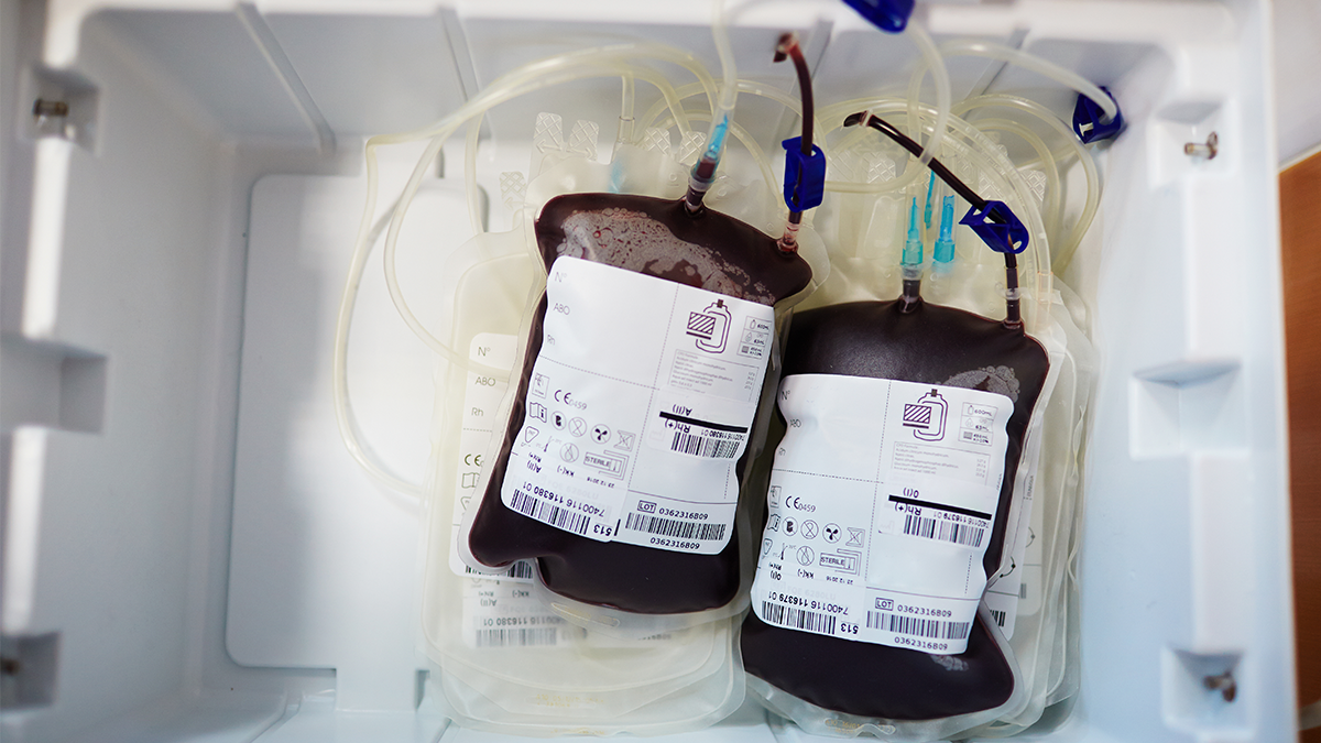 Hemocentros: Manutenção do banco de sangue no fim e começo do ano