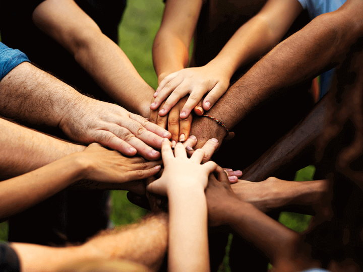 O que é Dia mundial de zero discriminação